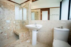 The Draycott (D10), Apartment #435918181